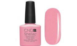 POLISH