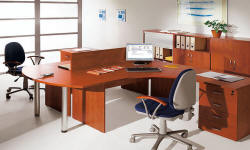 POLISH FIRMS