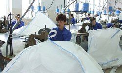 POLISH FIRMS