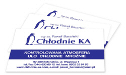 POLISH FIRMS