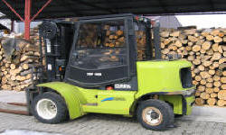 POLISH FIRMS