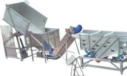 POLISH FIRMS
