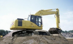 POLISH FIRMS