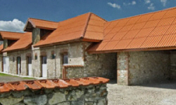 POLISH FIRMS