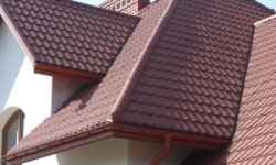 POLISH FIRMS
