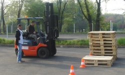 POLISH FIRMS