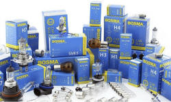 POLISH FIRMS