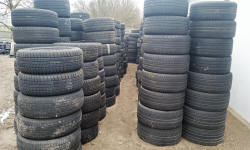 POLISH FIRMS